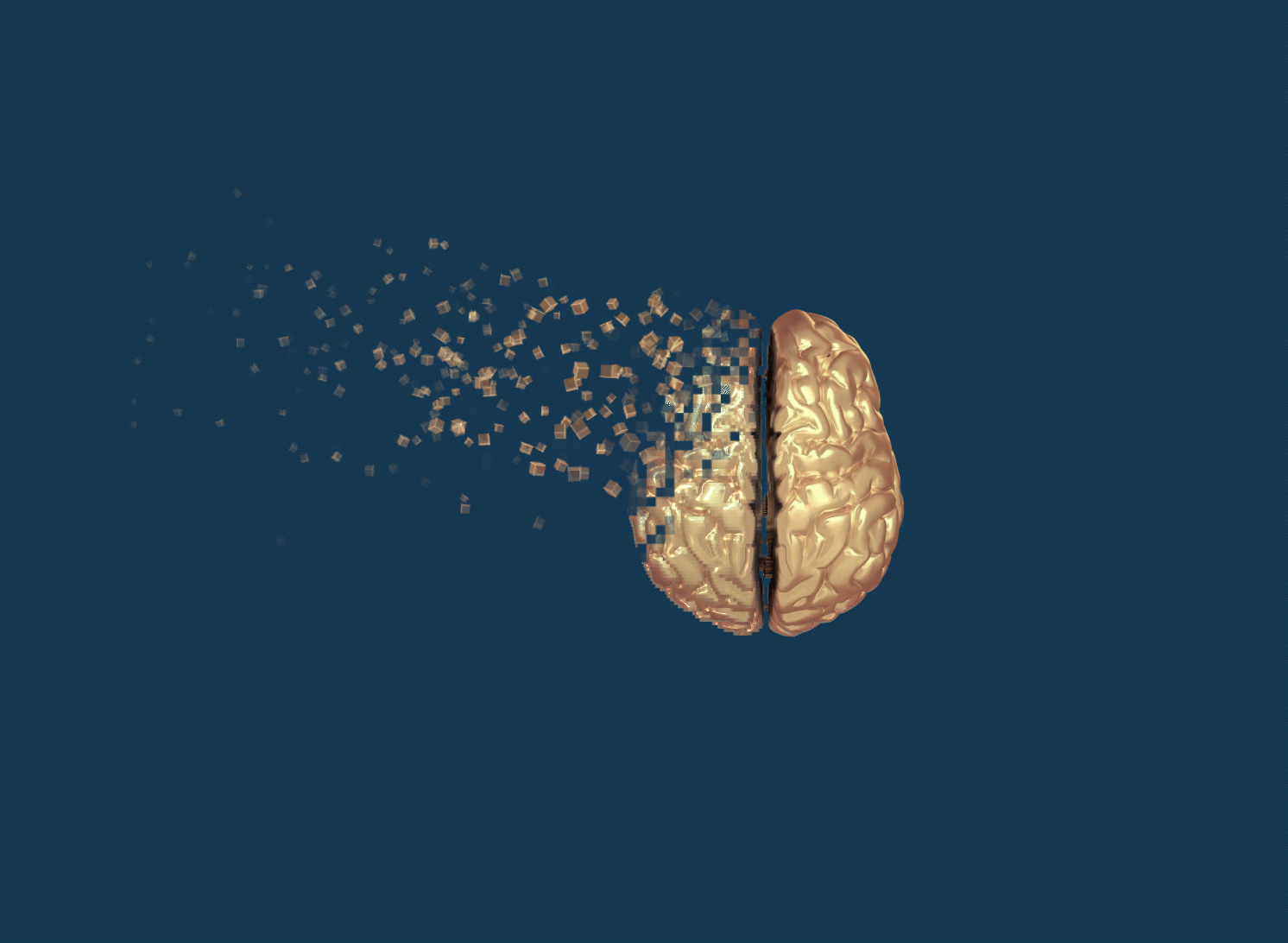 Brains Animation